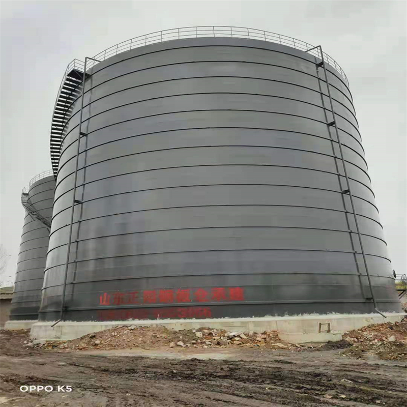 林芝3万吨大型钢板库