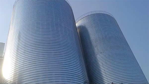 林芝2座混凝土高架卷板仓